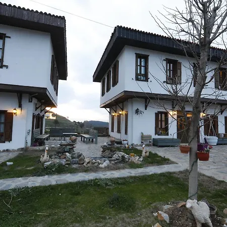 Hotel Ikiz Konaklar 5*