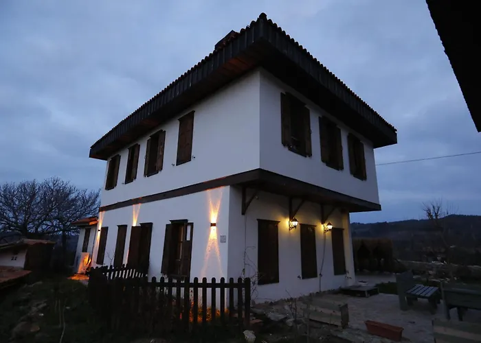 Ikiz Konaklar ホテル