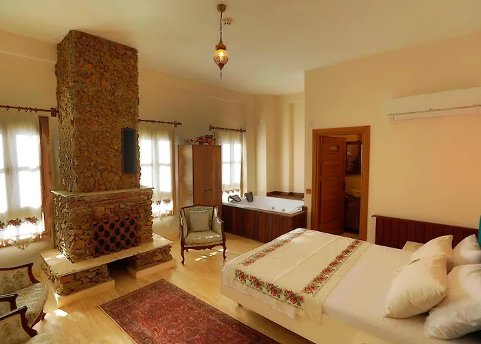 Ikiz Konaklar מלון 5*