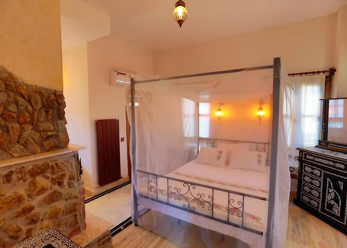 Ikiz Konaklar ホテル