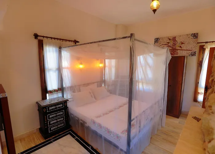 Ikiz Konaklar ホテル