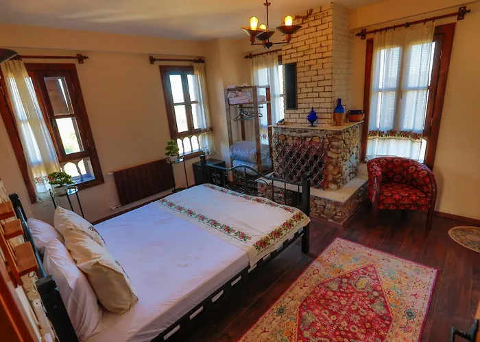 Ikiz Konaklar 塞尔丘克