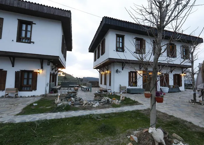 酒店 Ikiz Konaklar 5*