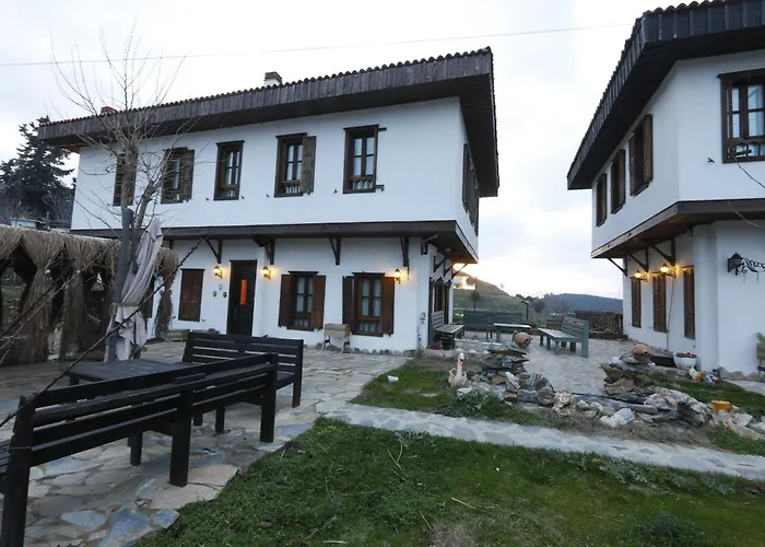 Ikiz Konaklar 酒店 塞尔丘克